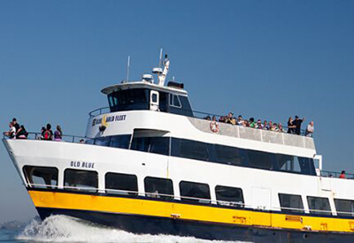 Ferry Services San Francisco Coupons