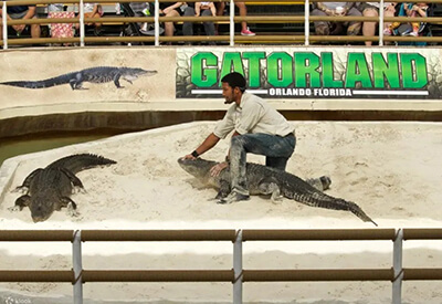 Gatorland Florida Coupons