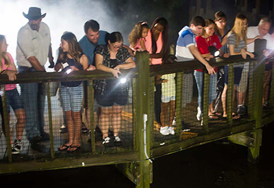 Gatorland Night Shine Tour Coupons