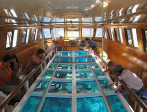 Glass Bottom Boat Cruise Coupons