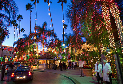 Holiday Lights City Tour San Diego Coupons