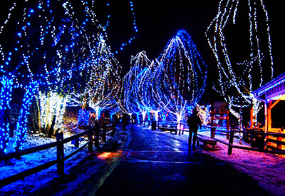 Holiday Lights City Tour San Diego Coupons