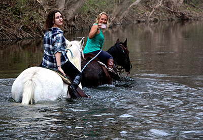 Maverick Horseback Ride Coupons