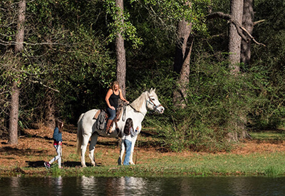 Maverick Horseback Ride Coupons