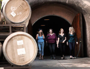 Napa and Sonoma Wine Education Day Tour Coupons