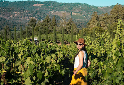 Napa and Sonoma Wine Education Day Tour Coupons