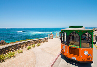 Old Town Trolley La Jolla San Diego Coupons