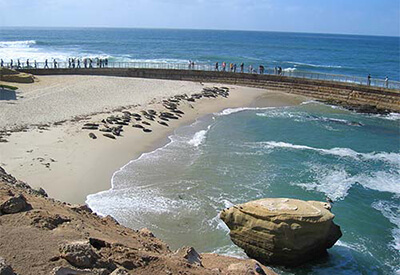 San Diego La Jolla Torrey Pines Tour Coupons