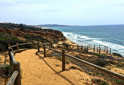 San Diego La Jolla Torrey Pines Tour Coupons