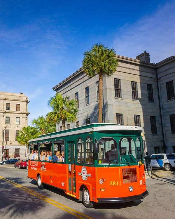 Savannah Tours Image