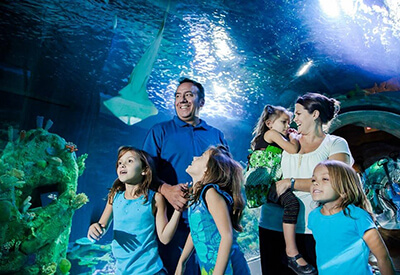 Sea Life Arizona Coupons