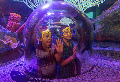 Sea Life Arizona Coupons