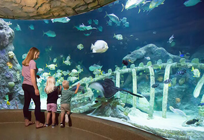 Sea Life Kansas City Coupons