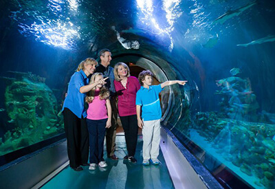 Sea Life Kansas City Coupons