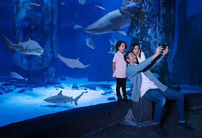 Sea Life Kansas City Coupons