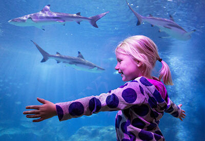 Sea Life Michigan Coupons