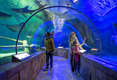 Sea Life Minnesota Coupons