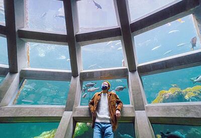 Seattle Aquarium Coupons