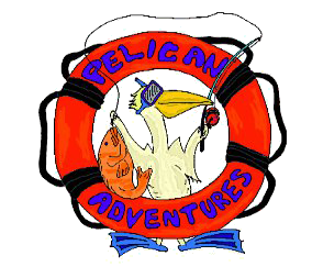 Pelican 16 oz. Dayventure Tumbler – Vu Promo®
