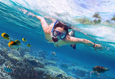 Snorkel Miramar Beach Coupons