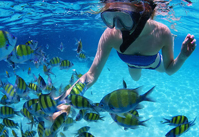 Snorkel Miramar Beach Coupons