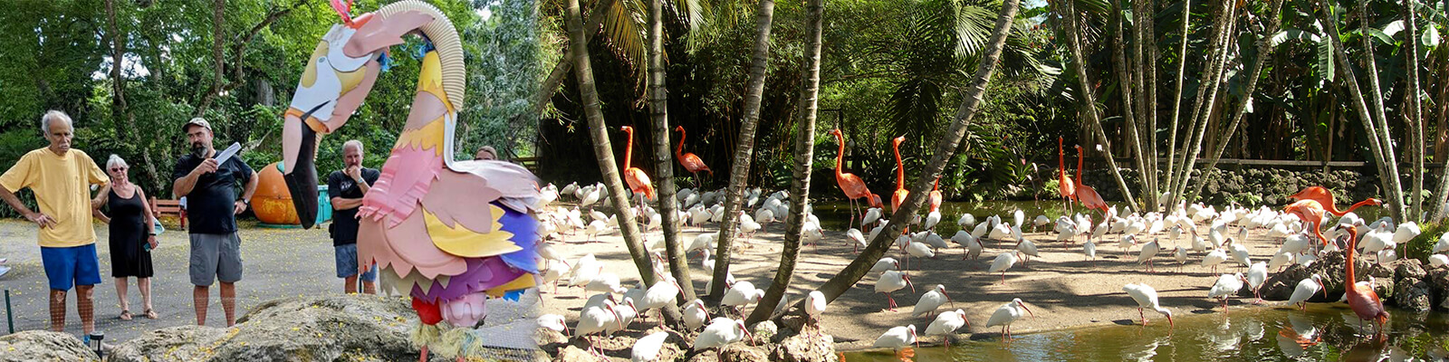 Flamingo Gardens Fort Lauderdale Coupon