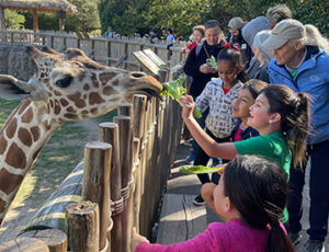 Fort Worth Zoo Coupons