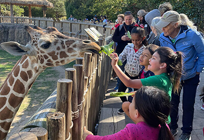 Fort Worth Zoo Coupons