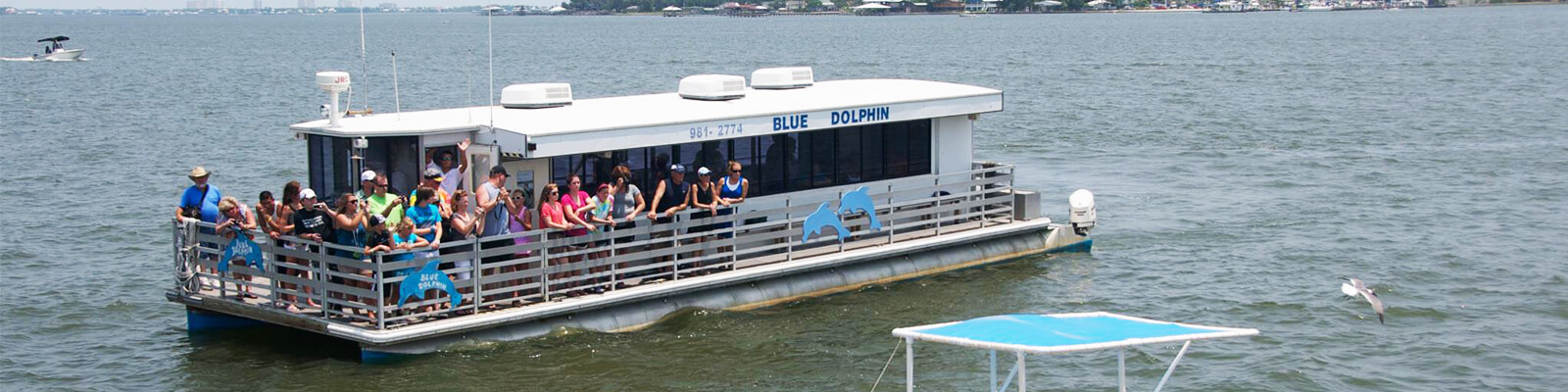 Blue Dolphin Cruises Promo Code