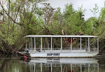 Cajun Pride Swamp Tour Coupons