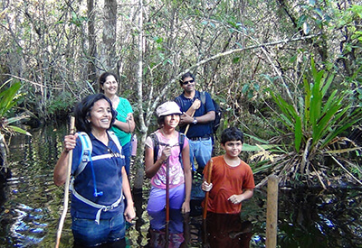 Everglades Area Tours Coupons