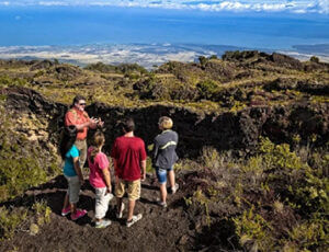 Hawaii Forest and Trail Coupons