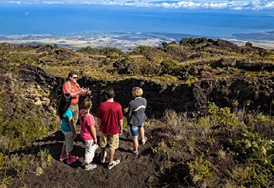 Hawaii Forest and Trail Coupons