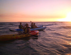 Kayak Excursions Pelican Bay Coupon