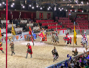 Medieval Times Dallas Coupons
