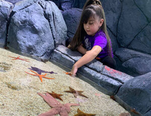 Houston Interactive Aquarium Coupons