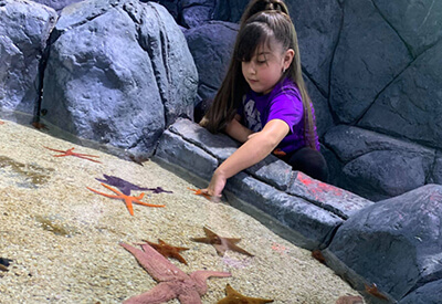 Houston Interactive Aquarium Coupons