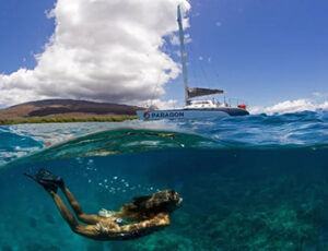 Sail Maui Coupons