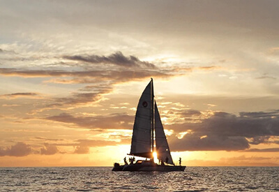 Sail Maui Coupons