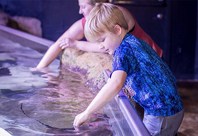San Antonio Aquarium Coupons