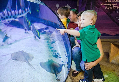 Sea Life San Antonio Coupons