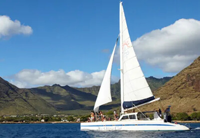 Star Honolulu Dolphin Watch Cruise Coupons