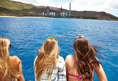 Star Honolulu Dolphin Watch Cruise Coupons