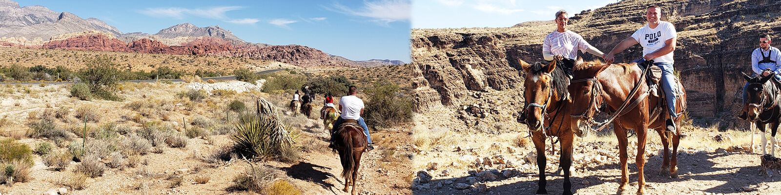 Cowboy Trail Rides Coupons