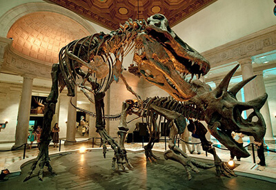 LA Natural History Museum Coupons