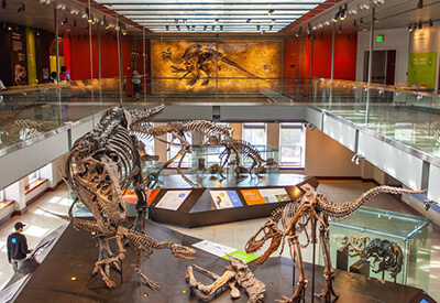 LA Natural History Museum Coupons