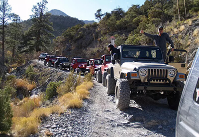 Las Vegas Rock Crawlers Coupons