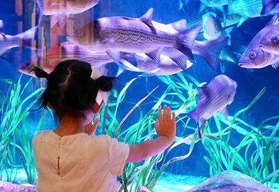 New Jersey Sea Life Aquarium Coupons