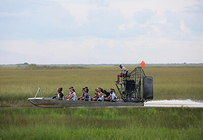 Gator Park Airboat Tours Coupons