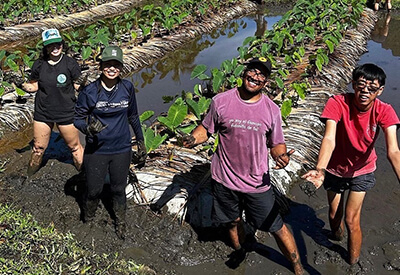 Kualoa Ranch Tours Coupons